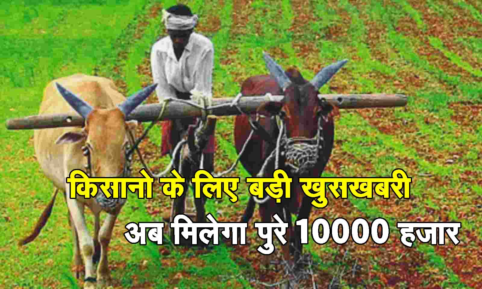 Pm Kisan Samman