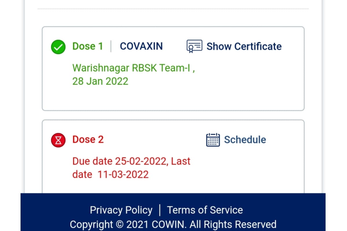 corona vaccine certificate download