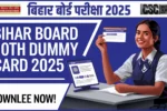 BIhar Board Dummy Admit Card 2025